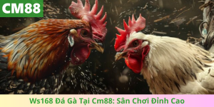Ws168 Đá Gà Tại Cm88: Sân Chơi Đỉnh Cao